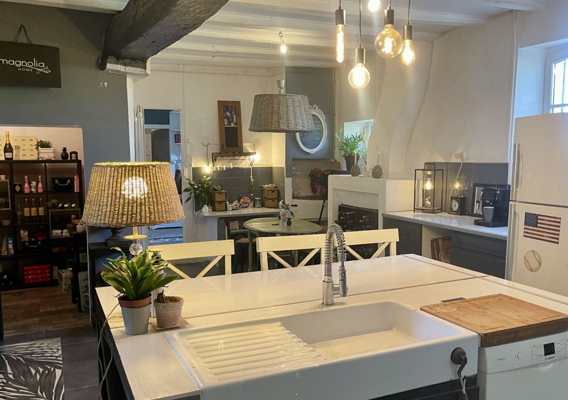 vente Maison de maître Saint Denis Du Pin
