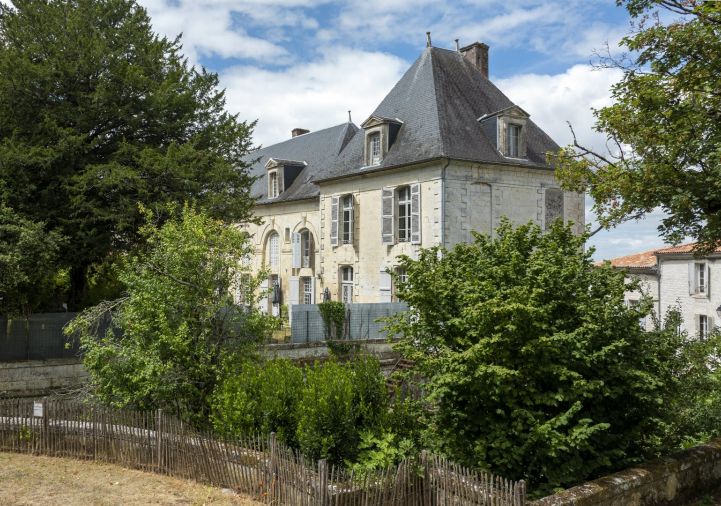 vente Château Saintes
