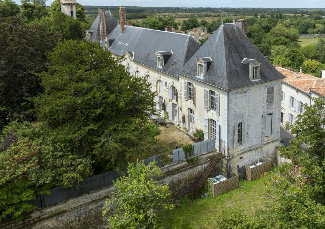 vente Château Saintes