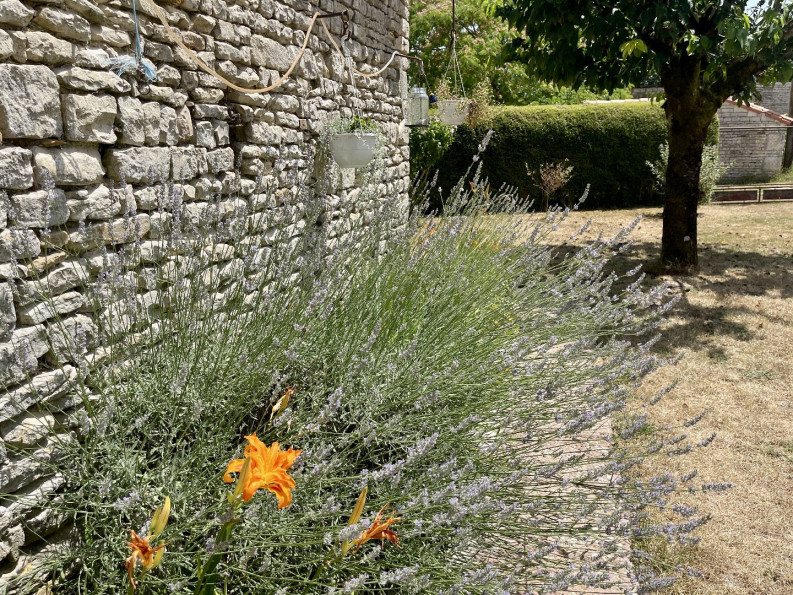 sale Maison Loubille - Photo 18