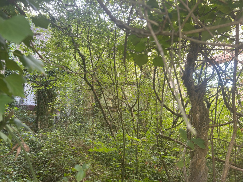 vente Immeuble à rénover Port D'envaux - Photo 19