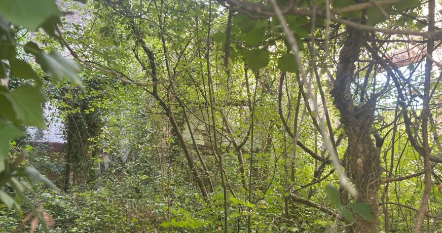 vente Immeuble à rénover Port D'envaux