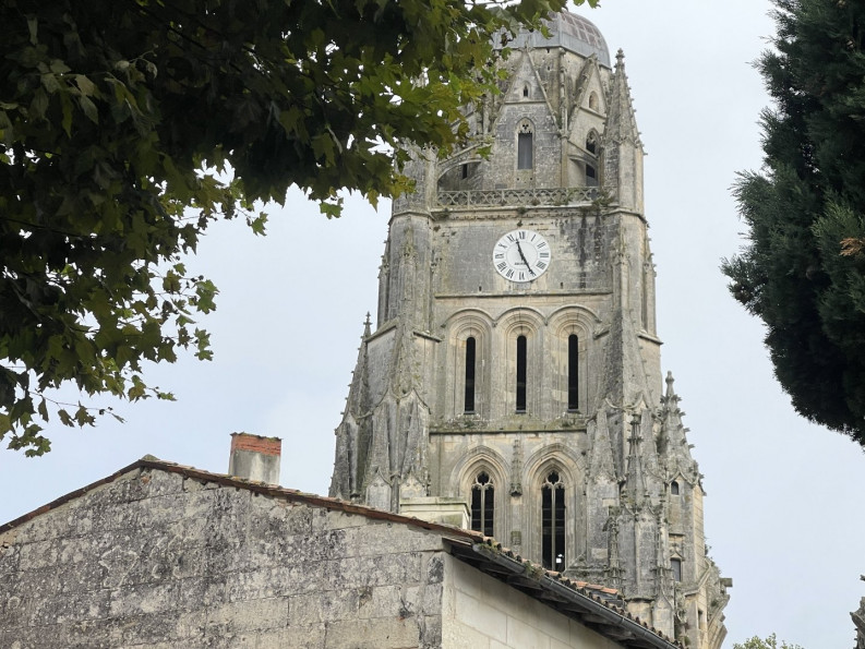 vente Hôtel particulier Saintes - Photo 19