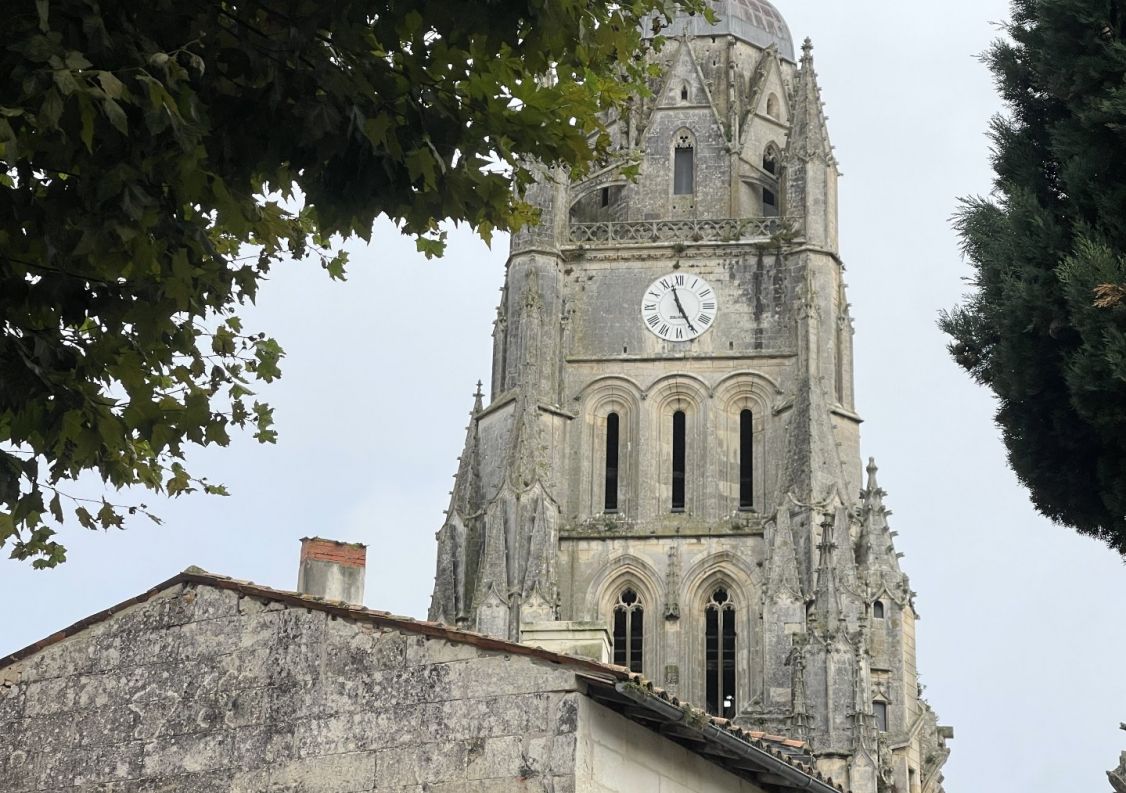 vente Hôtel particulier Saintes