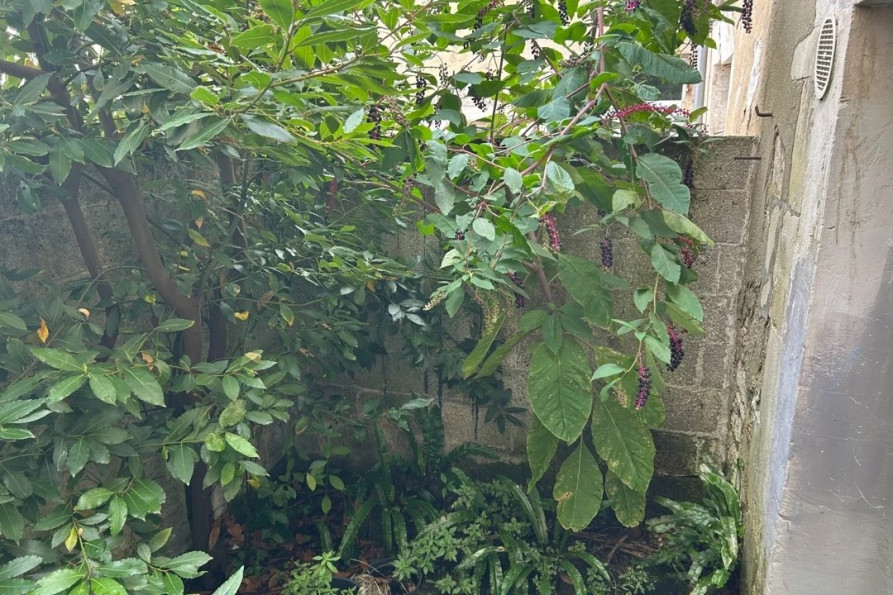 vente Maison Saint Jean D'angely - Photo 9