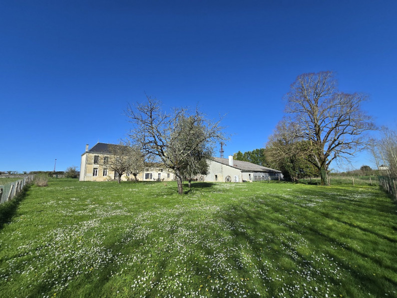 vente Maison de caractère Saint Pierre De Juillers - Photo 20