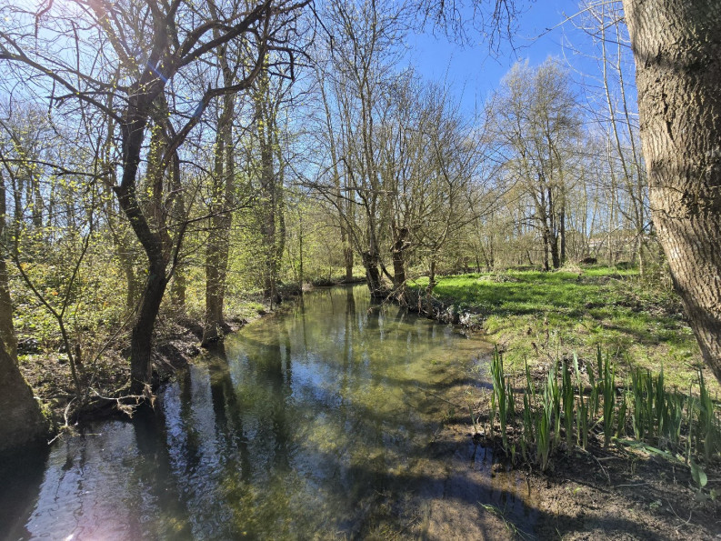 vente Maison de caractère Saint Pierre De Juillers - Photo 6