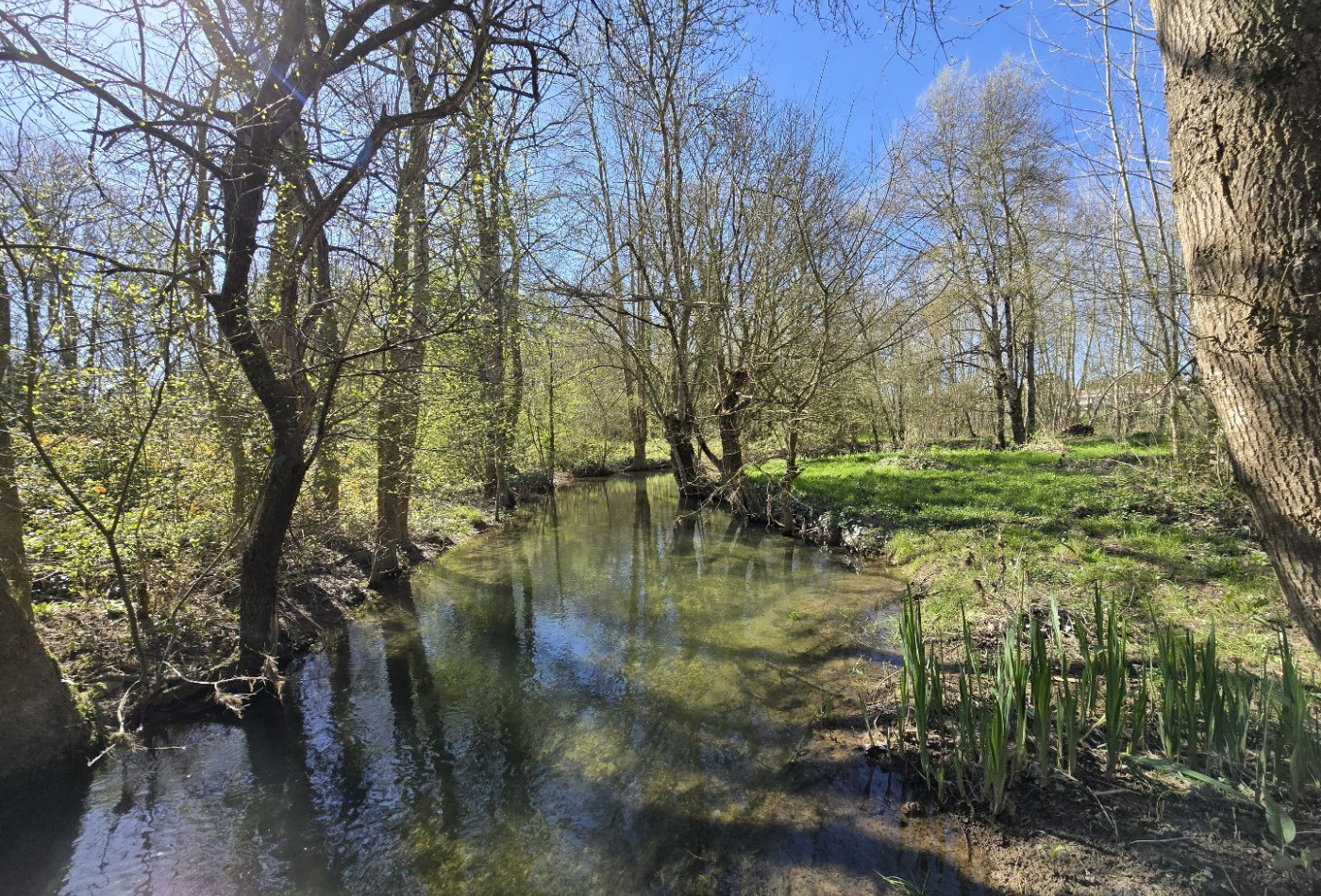 vente Maison de caractère Saint Pierre De Juillers - Photo 6