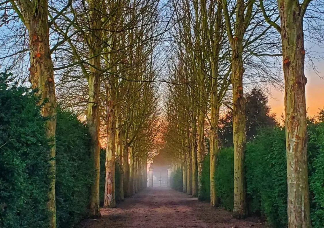 vente Château Vitry La Ville