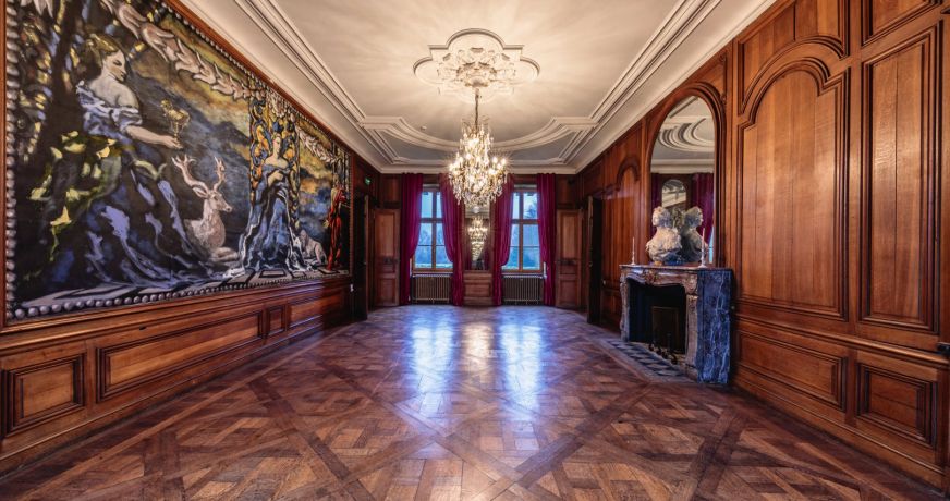 vente Château Vitry La Ville