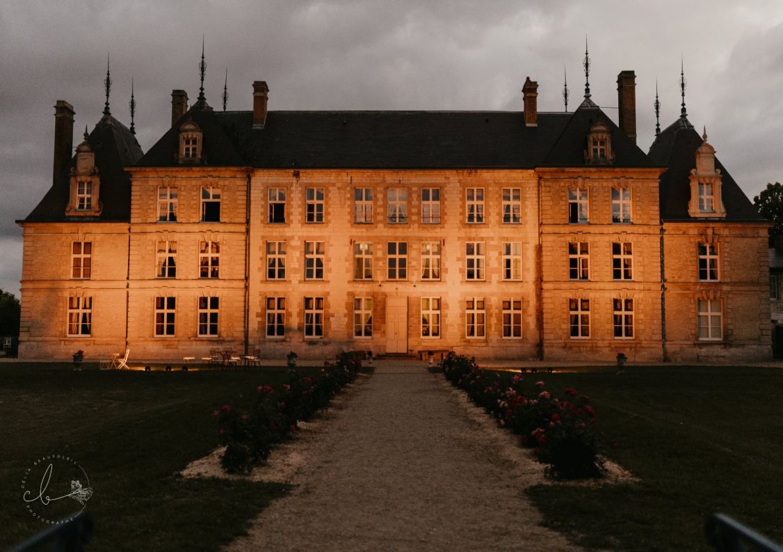 vente Château Vitry La Ville