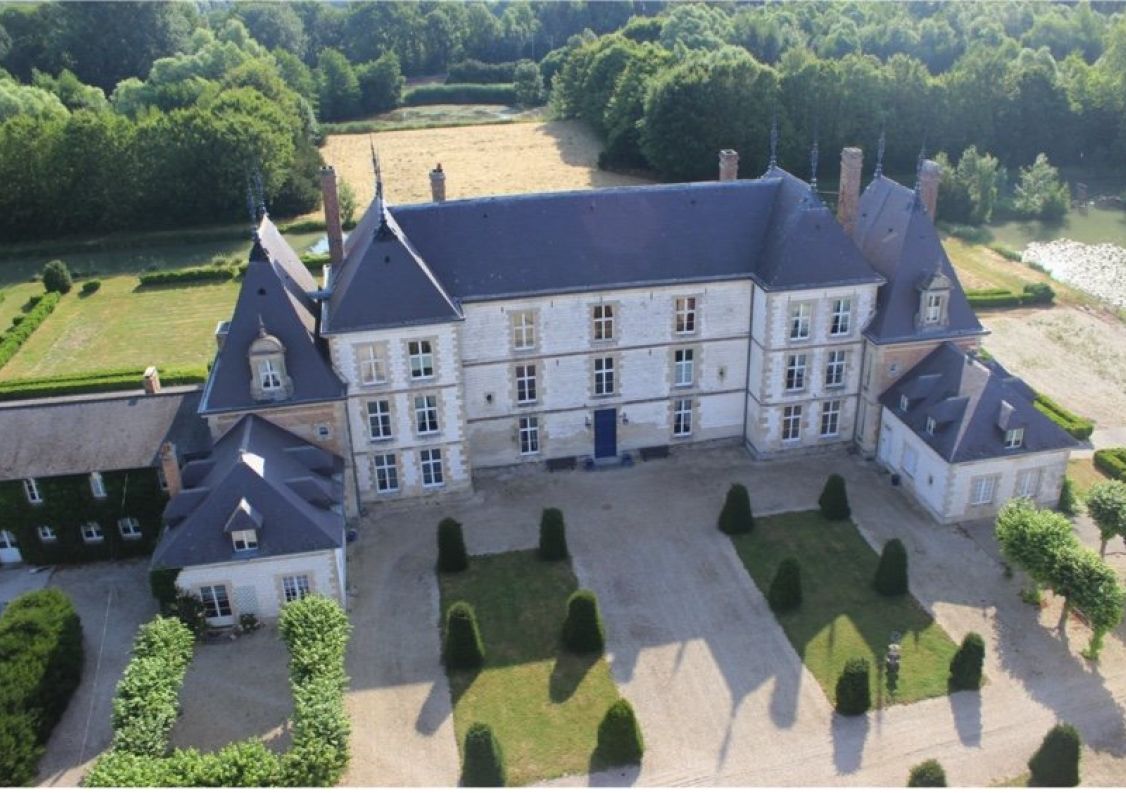vente Château Vitry La Ville