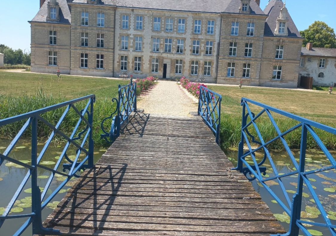 vente Château Vitry La Ville