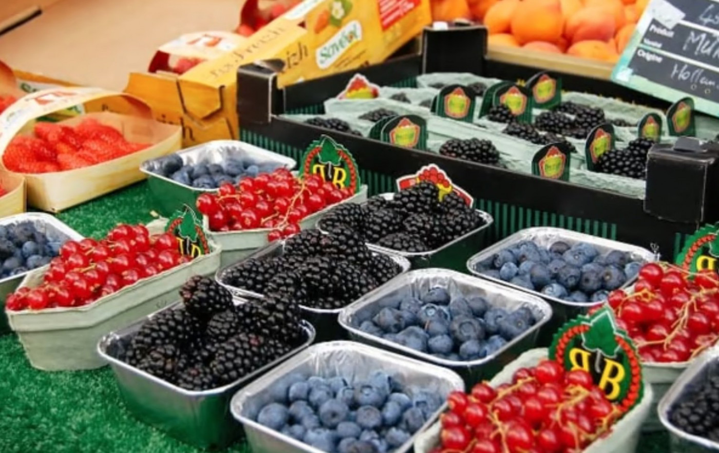 vente Appartement Paris 7eme Arrondissement - Photo 3