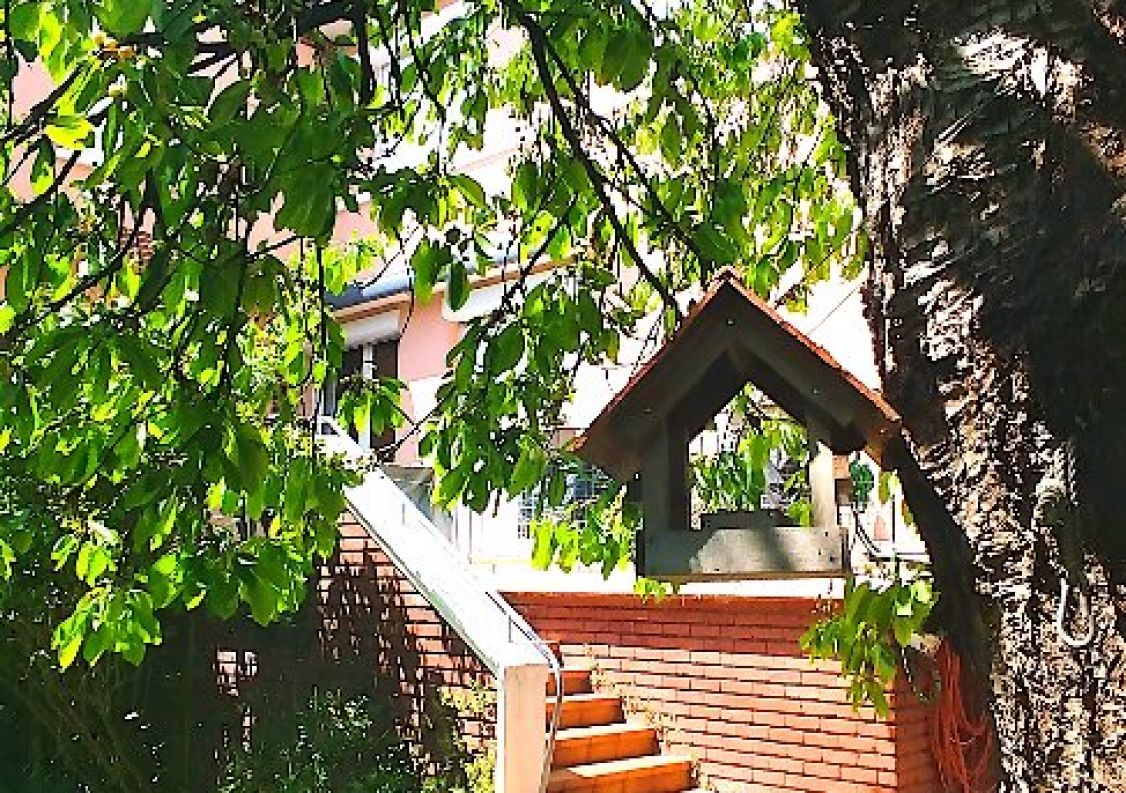 vente Maison Saint-germain-en-laye