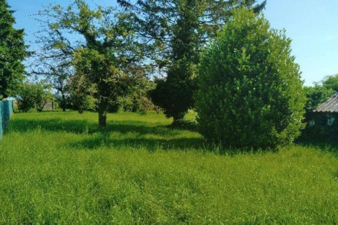 vente Terrain Salins - Photo 3