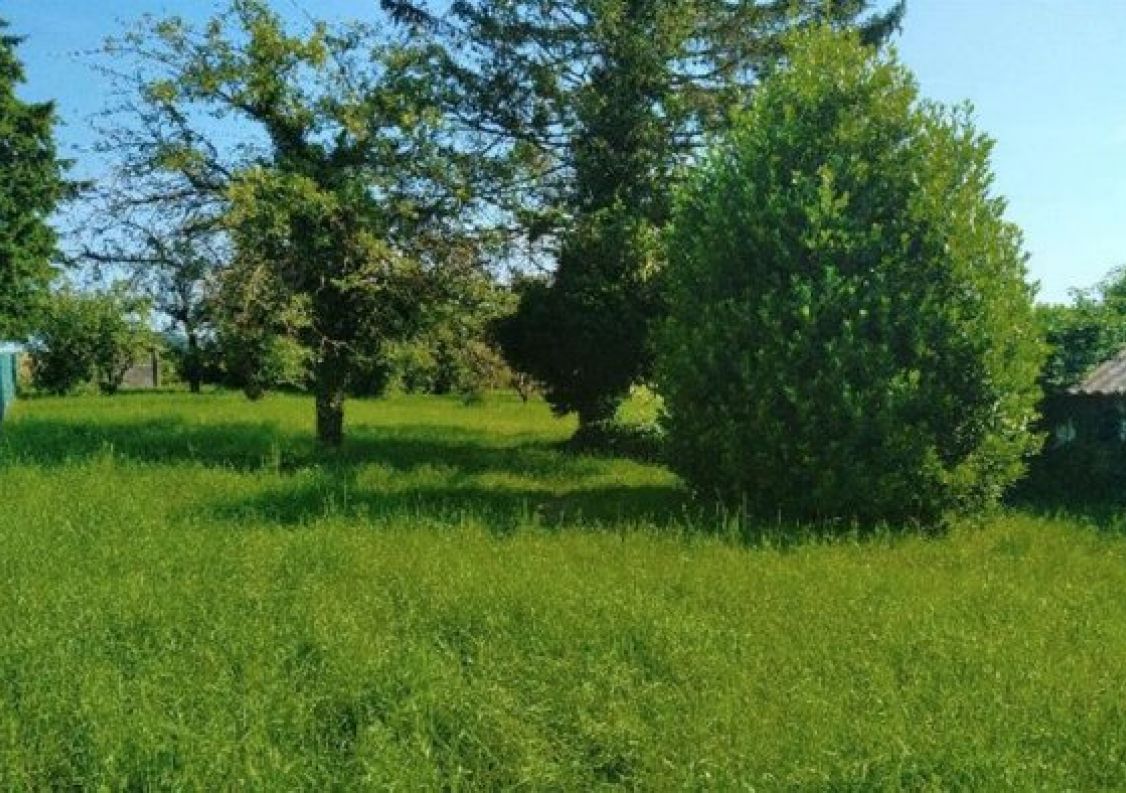 vente Terrain Salins