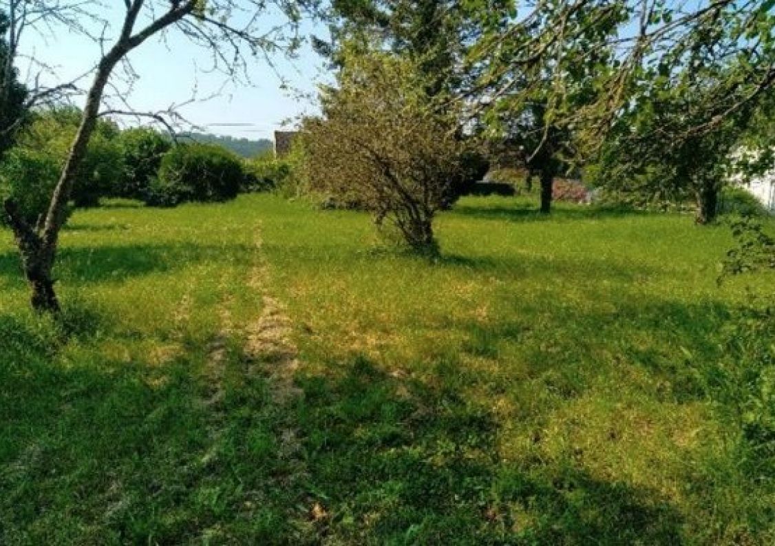 vente Terrain Salins