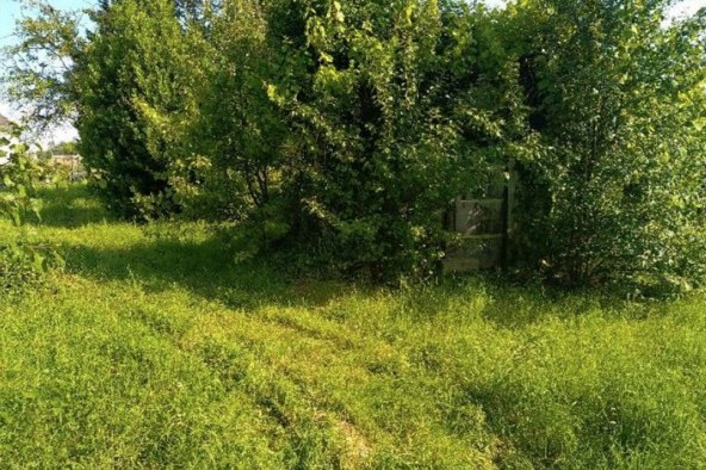 vente Terrain Salins - Photo 5