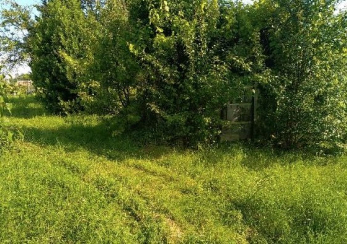 vente Terrain Salins