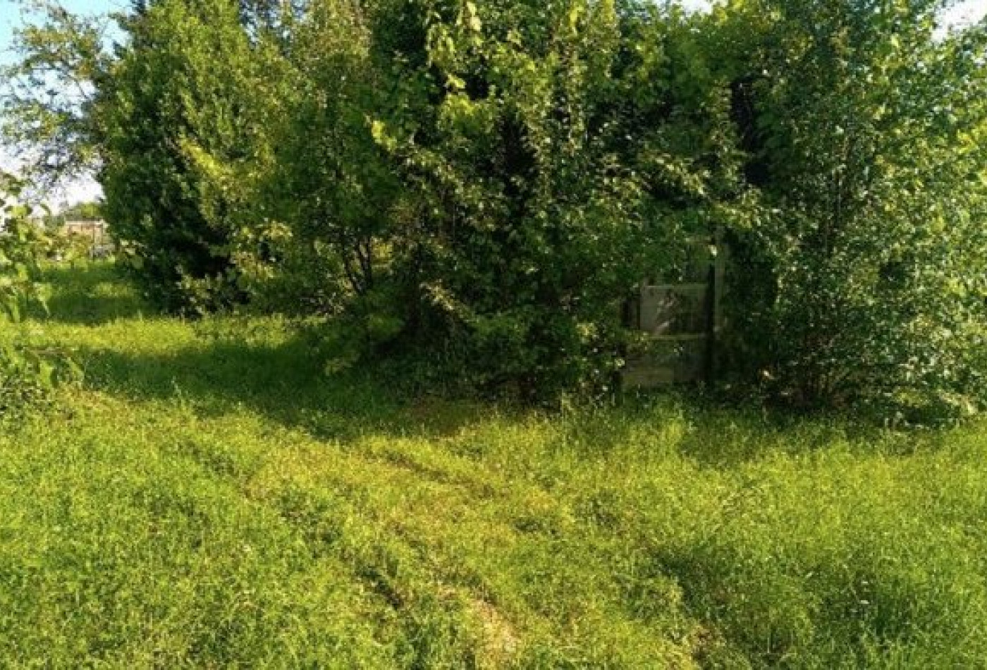 vente Terrain Salins - Photo 5