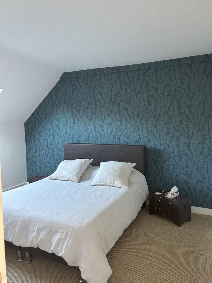 sale Maison Chouzy Sur Cisse - Photo 9