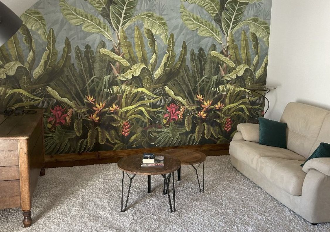 vente Maison Chouzy Sur Cisse