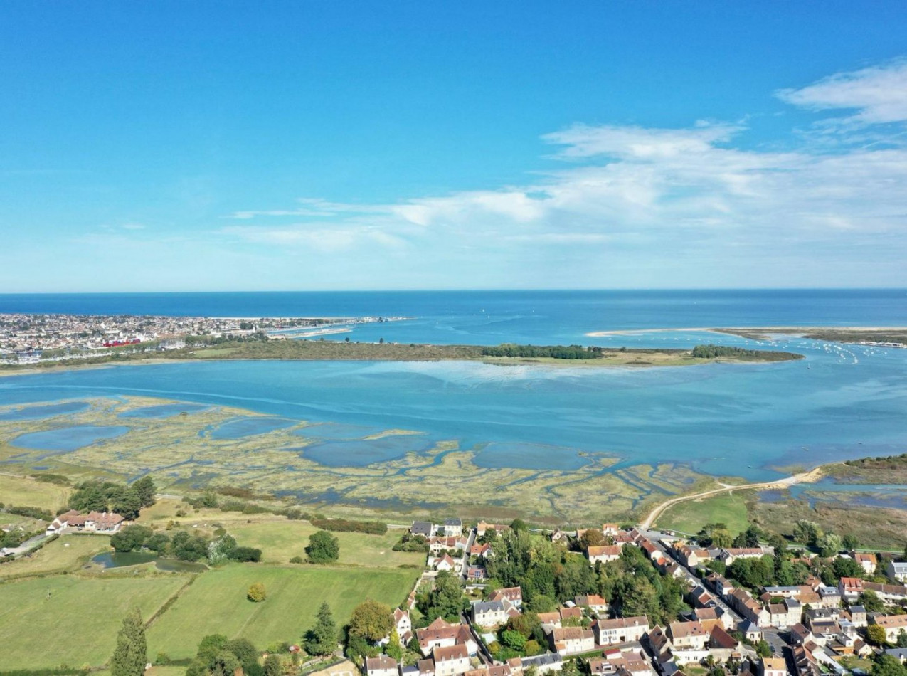 vente Maison de maître Sallenelles - Photo 3