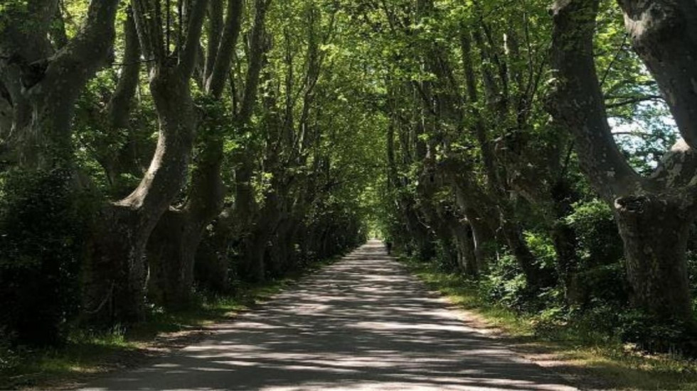 vente Domaine Chateauneuf Du Pape - Photo 6