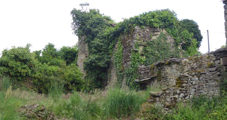 vente Terrain Gorses