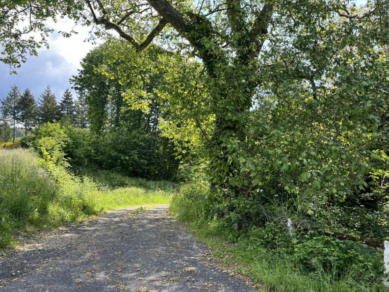 vente Propriété Le Pescher - Photo 12