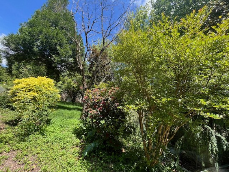 vente Propriété Le Pescher - Photo 20