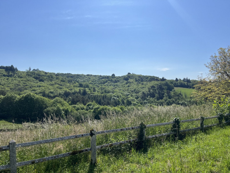 sale Propriété Le Pescher - Photo 5