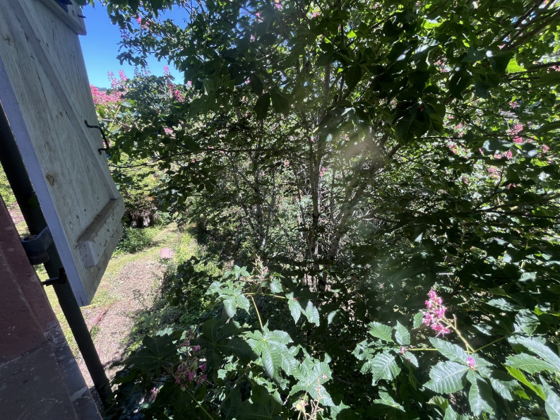 vente Maison Meyssac - Photo 10