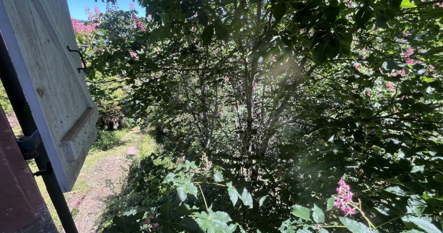 vente Maison Meyssac