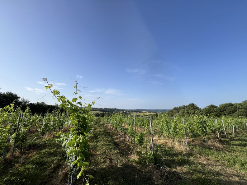 vente Horticole /maraîchage Puy D'arnac - Photo 1