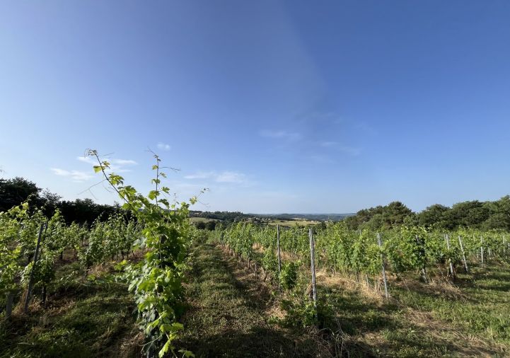 vente Horticole /maraîchage Puy D'arnac