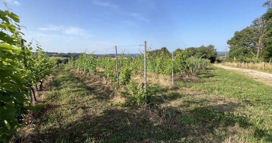 vente Horticole /maraîchage Puy D'arnac