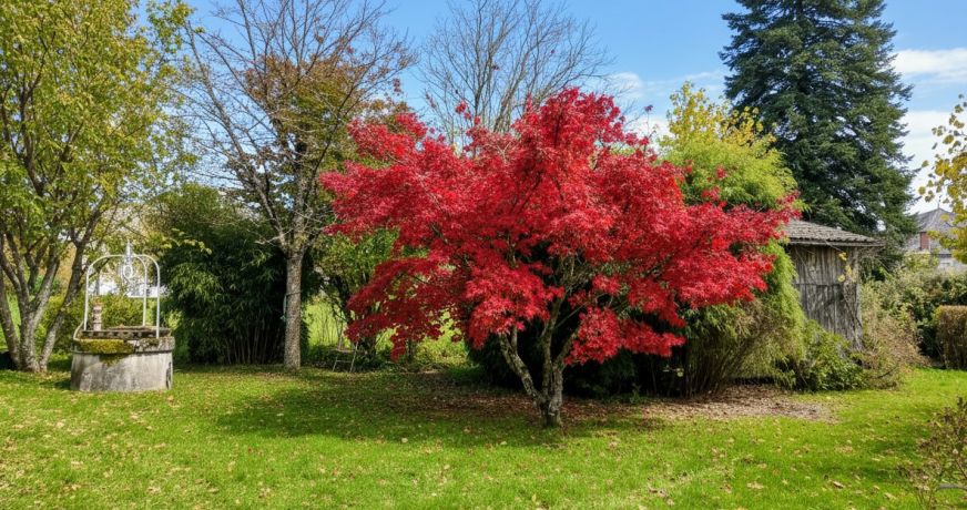 vente Maison Saint Privat