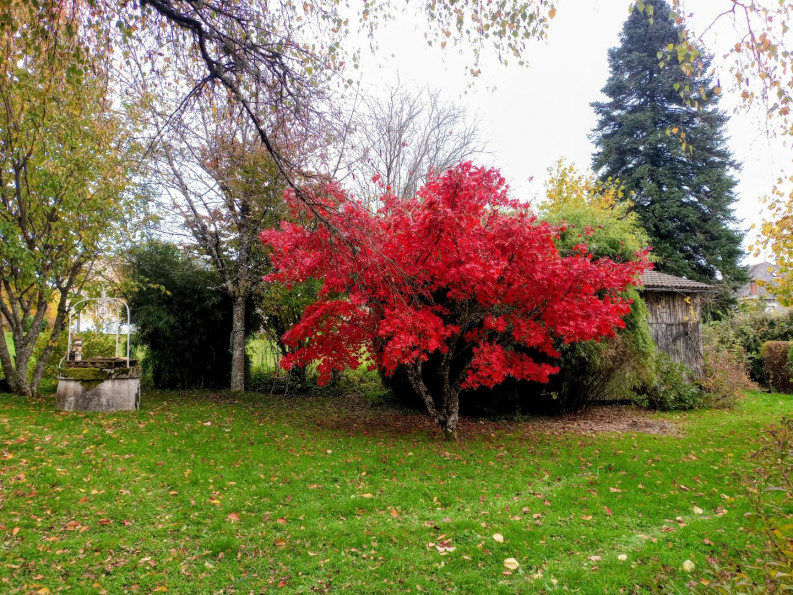 vente Maison Saint Privat - Photo 2