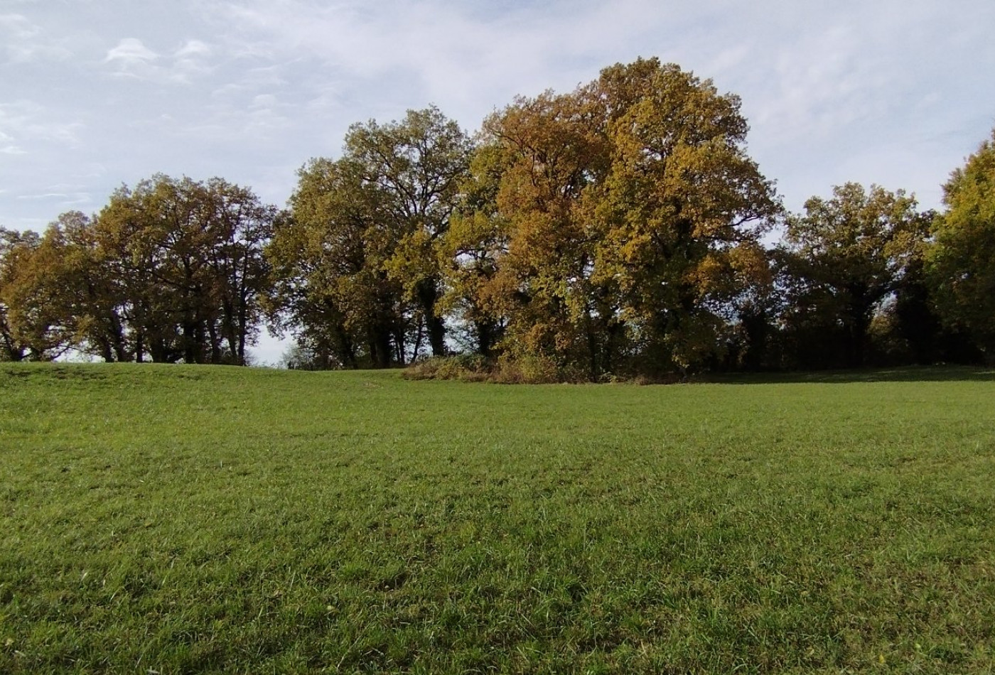 vente Grange Rueyres - Photo 6