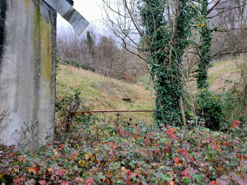 vente Terrain Altillac - Photo 1