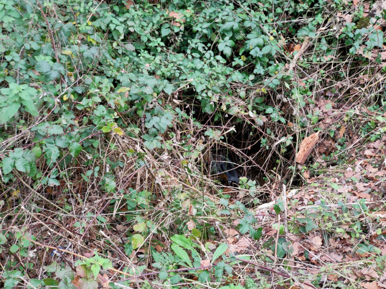 vente Terrain Altillac - Photo 2