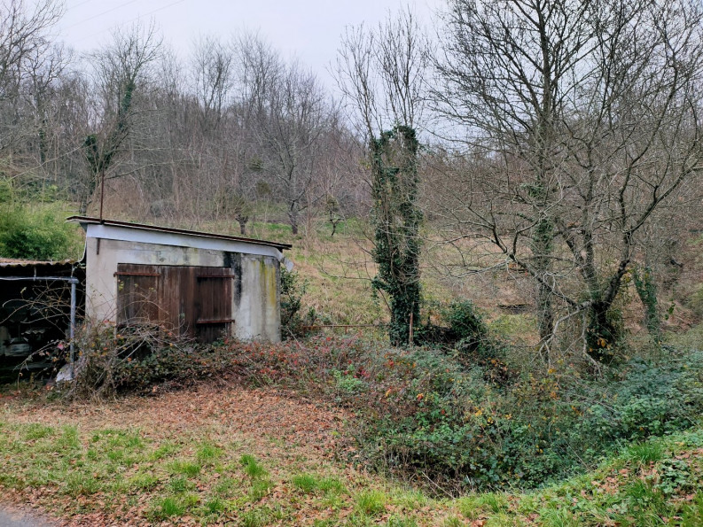 vente Terrain Altillac - Photo 4