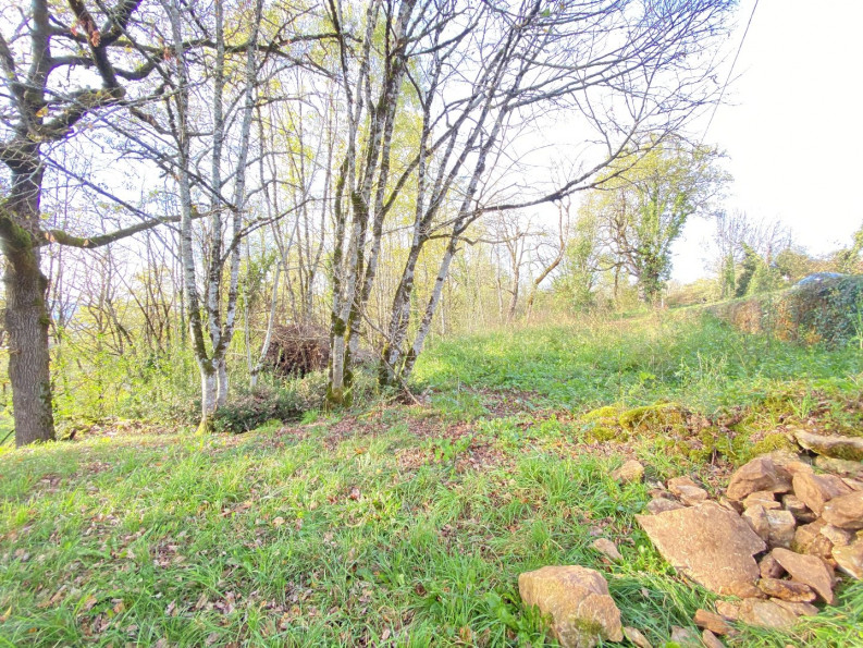 vente Terrain constructible Prudhomat - Photo 10