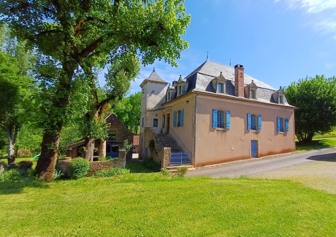 vente Domaine Saint Michel Loubejou