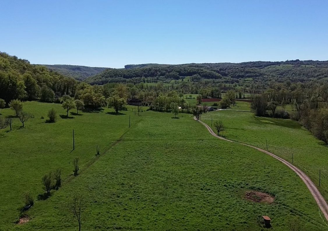 vente Domaine Saint Michel Loubejou