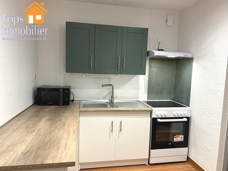 location Appartement Villefranche De Rouergue - Photo 4