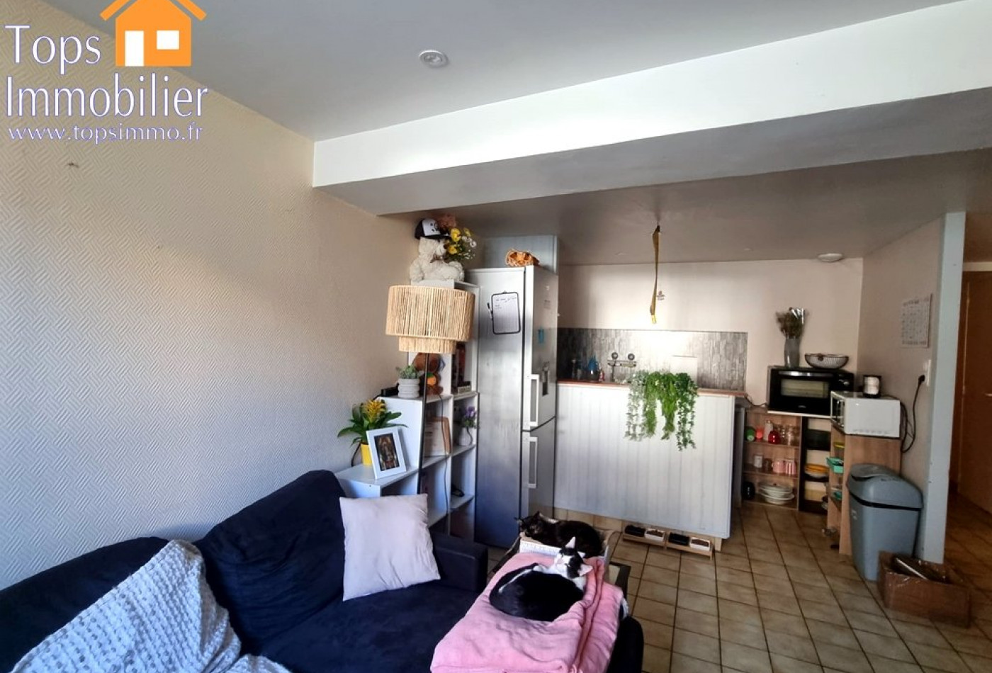 vente Propriété Villefranche De Rouergue - Photo 9