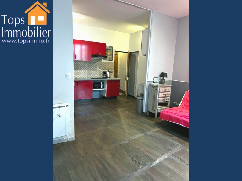 location Appartement rénové Villefranche De Rouergue - Photo 3